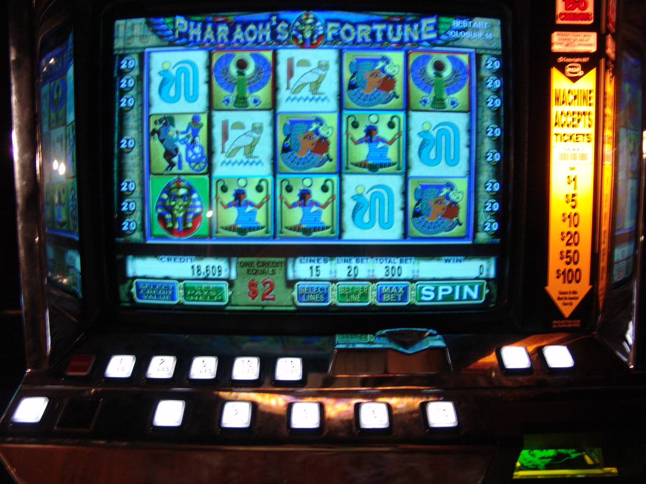 Pharaoh Bingo Slots Machine